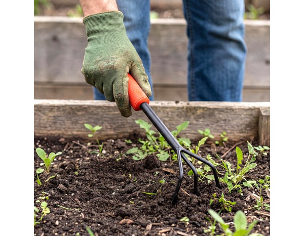 Outil de jardin griffe à main acier carbone 39 cm  - Forge steel - Brico Dépôt