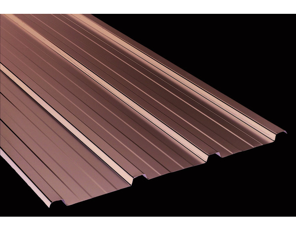 Bac acier plaque ardoise 50/100 polyester 900 x 2000 mm - BACACIER - Brico Dépôt