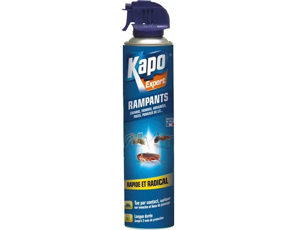 Aérosol insecticide insectes rampants 400 ml - Brico Dépôt