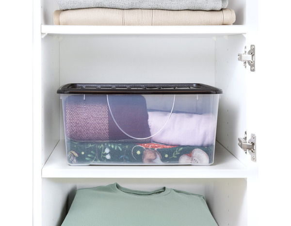 Boîte de rangement transparente avec couvercle 16,7 L - Brico Dépôt