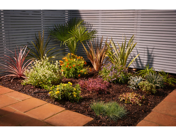 Palmier d’intérieur ou extérieur hauteur 140 à 150 cm en pot 27 cm - Brico Dépôt