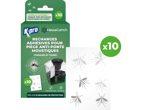 Pack de 10 recharges adhesives piege moustiques anti-ponte sans insecticide - Brico Dépôt
