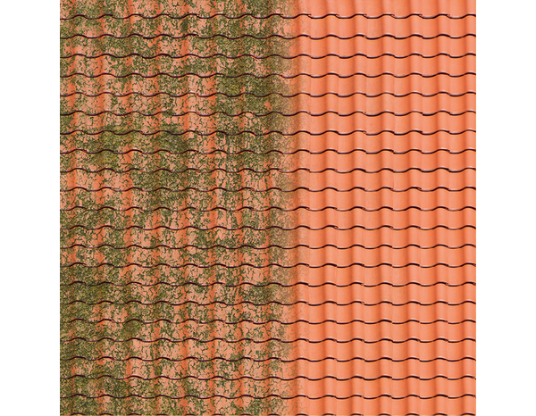 Nettoyant extérieur multi-support Sikagard-1127 Stop Tout en 1 Evolution 20 L - Sika - Brico Dépôt