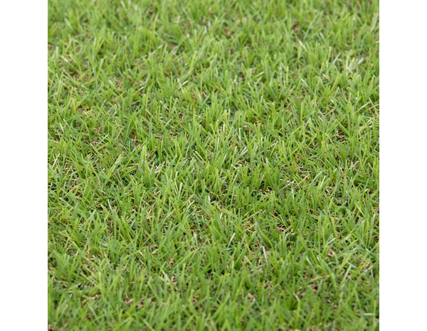Gazon artificiel vert fibres 25 mm avec drainage - rouleau 4 x 2 m - Brico Dépôt