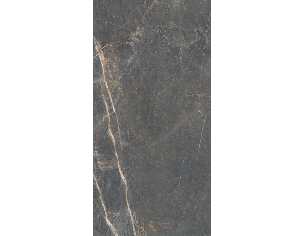 Carrelage sol intérieur grès cérame émaillé gris naturel aspect marbre SUPREME 60 x 120 cm - Brico Dépôt