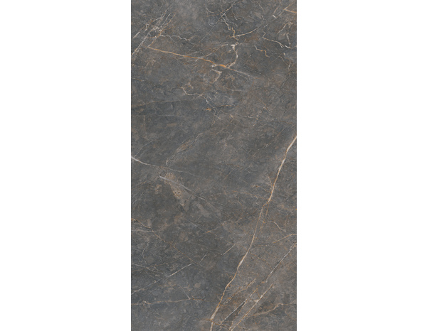 Carrelage sol intérieur grès cérame émaillé gris naturel aspect marbre SUPREME 60 x 120 cm - Brico Dépôt