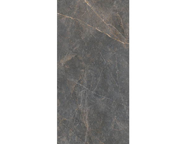 Carrelage sol intérieur grès cérame émaillé gris naturel aspect marbre SUPREME 60 x 120 cm - Brico Dépôt