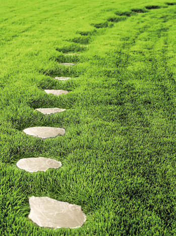 Pas japonais beige L. 50 cm x Largeur. 42 cm x Ép. 3,5 cm - Brico Dépôt