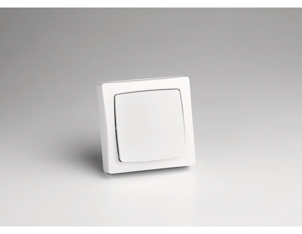 Va-et-vient - Legrand - Brico Dépôt