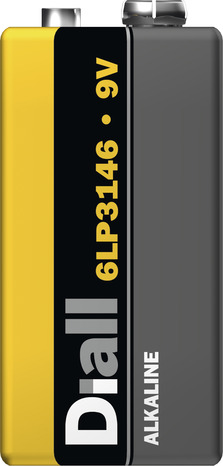 Pile alcaline 9V/6LR61 avec une puissance de 9V - Diall - Brico Dépôt