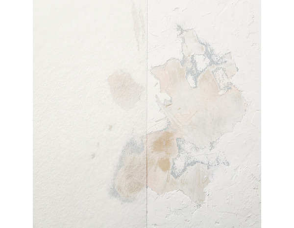 Voile de verre en fibre de verre - 45 g/m2 - Diall - Brico Dépôt