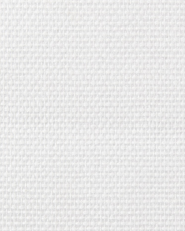 Fibre de verre maille 100 g/m² - Diall - Brico Dépôt