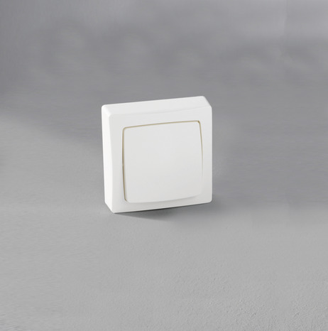 Va-et-vient - Legrand - Brico Dépôt