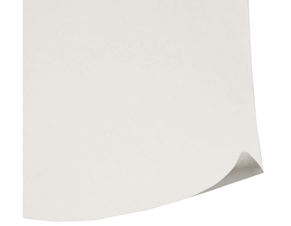 Revêtement de rénovation 1x15 m - Diall - Brico Dépôt