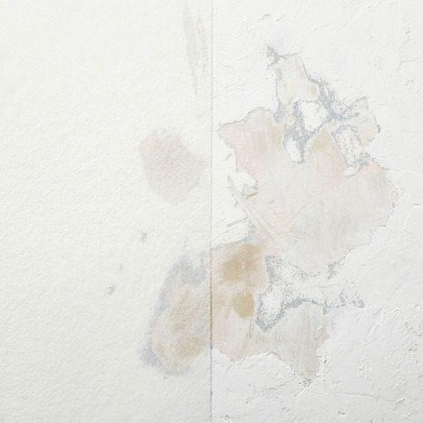 Voile de verre en fibre de verre - 45 g/m2 - Diall - Brico Dépôt