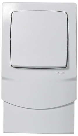 Lot 1 cadre + 1 interrupteur ou va-et-vient - Ep. 12.5 - Legrand - Brico Dépôt