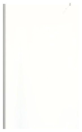 Paroi de douche à l'italienne Walk-In "Beloya" l.120 cm en verre transparent - GoodHome - Brico Dépôt