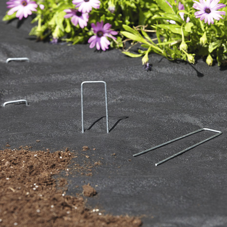 Lot de 20 chevilles et agrafes de jardin en acier - Brico Dépôt