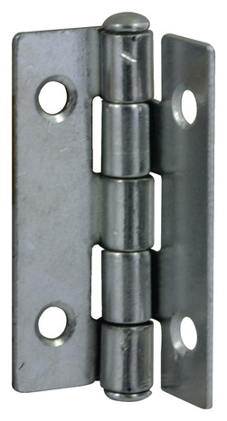 2 charnières en acier zingué 22x35x0,8 mm - Handix - Brico Dépôt