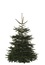 Sapin de Noël Nordmann 150-180 cm + bûche